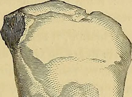 An illustration from Gazette des beaux-arts, 1859, leaf 35
