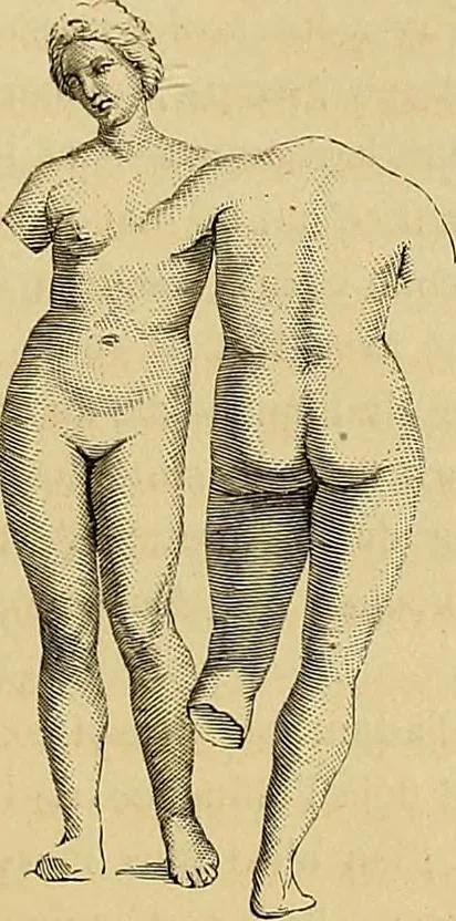 An illustration from Gazette des beaux-arts, 1859, leaf 429