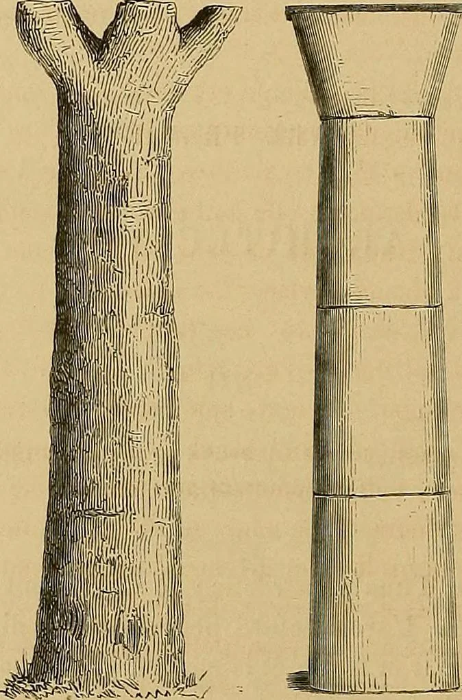 An illustration from Gazette des beaux-arts, 1859, leaf 532