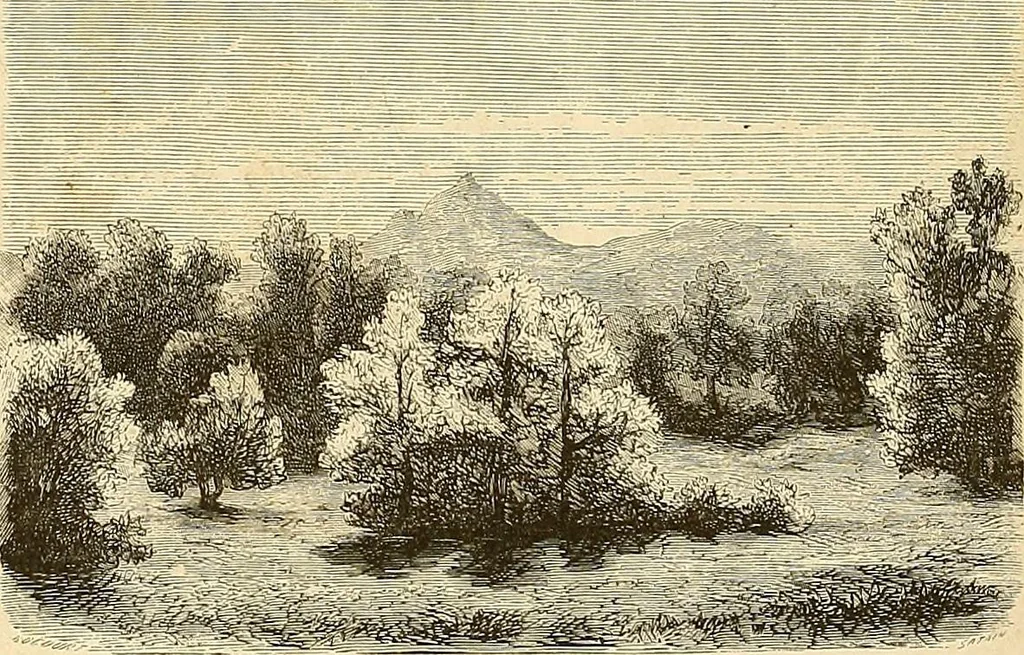 An illustration from Gazette des beaux-arts, 1859, leaf 291