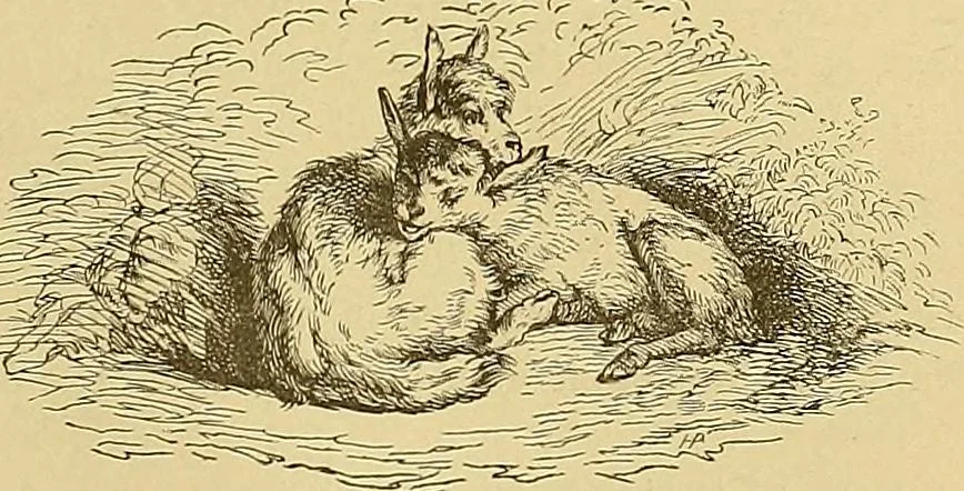 An illustration from Gazette des beaux-arts, 1859, leaf 560