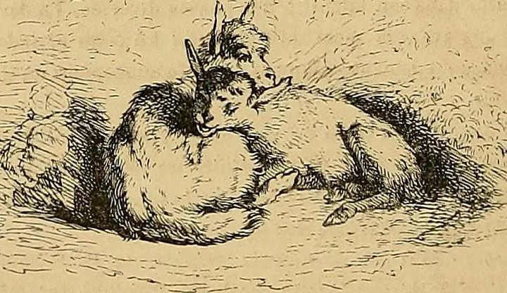 An illustration from Gazette des beaux-arts, 1859, leaf 250