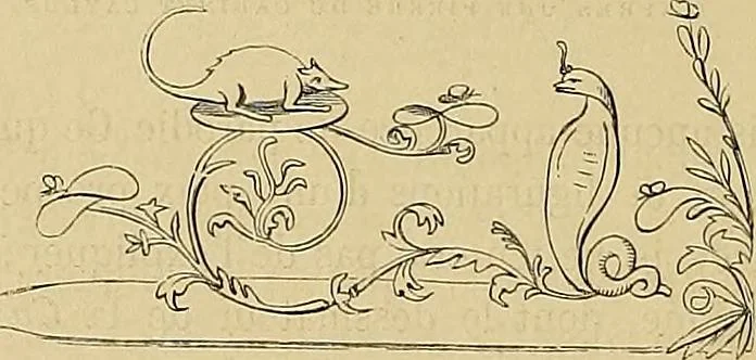 An illustration from Gazette des beaux-arts, 1859, leaf 258