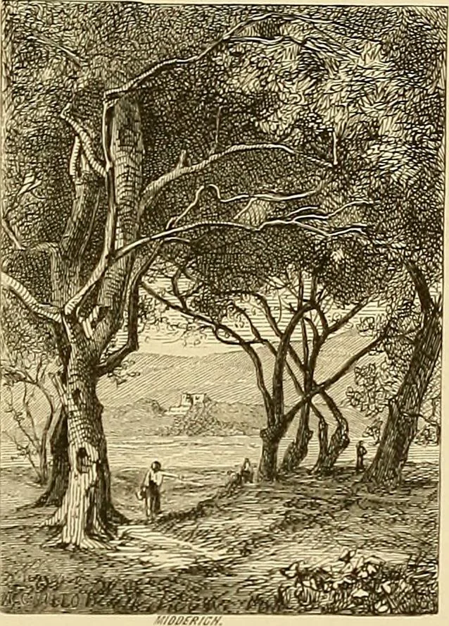 An illustration from Gazette des beaux-arts, 1859, leaf 26
