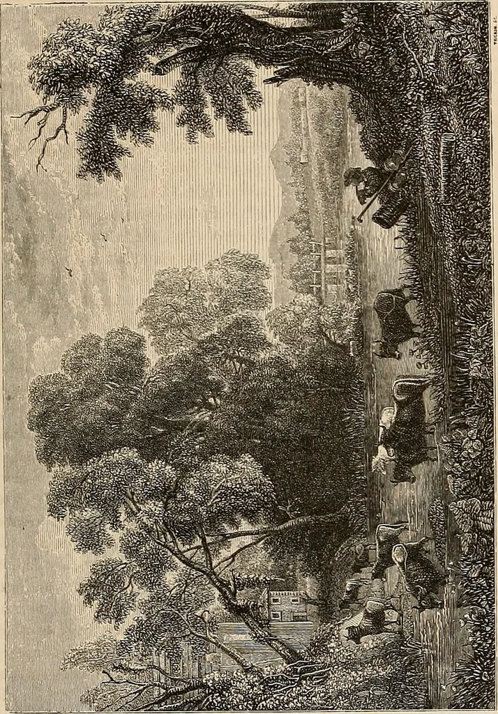 An illustration from Gazette des beaux-arts, 1859, leaf 414