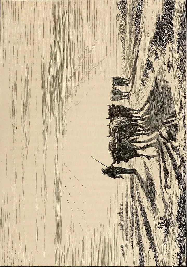 An illustration from Gazette des beaux-arts, 1859, leaf 424