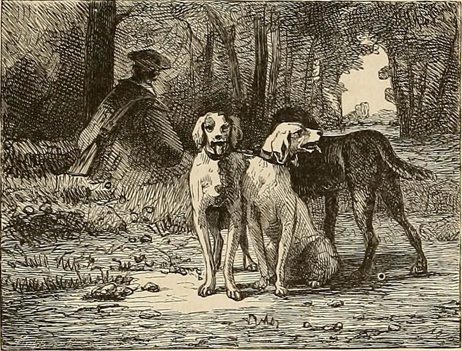 An illustration from Gazette des beaux-arts, 1859, leaf 426