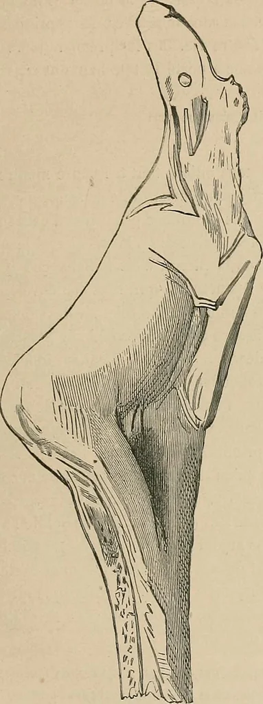 An illustration from Gazette des beaux-arts, 1859, leaf 535