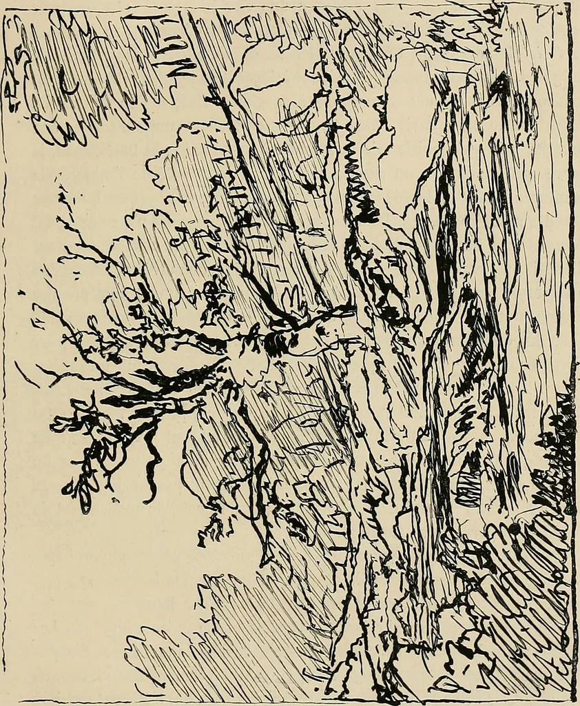An illustration from Gazette des beaux-arts, 1859, leaf 337