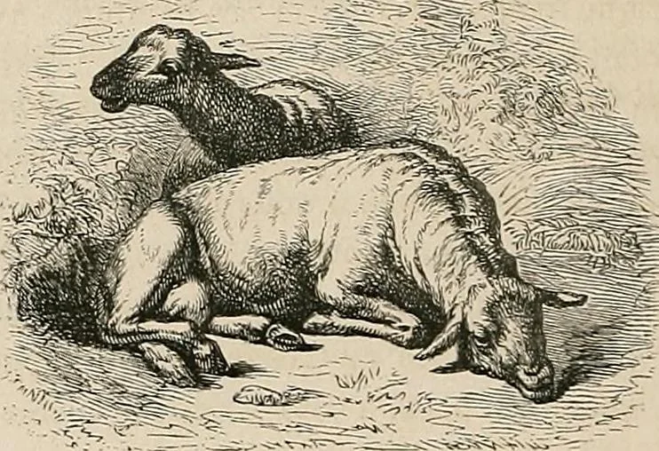 An illustration from Gazette des beaux-arts, 1859, leaf 618