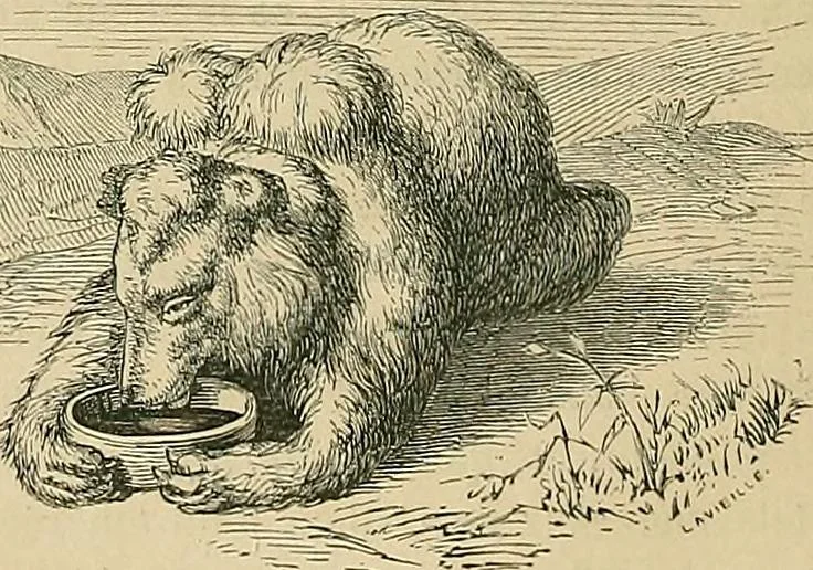 An illustration from Gazette des beaux-arts, 1859, leaf 234
