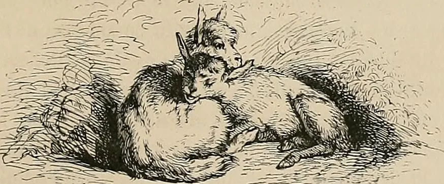 An illustration from Gazette des beaux-arts, 1859, leaf 207