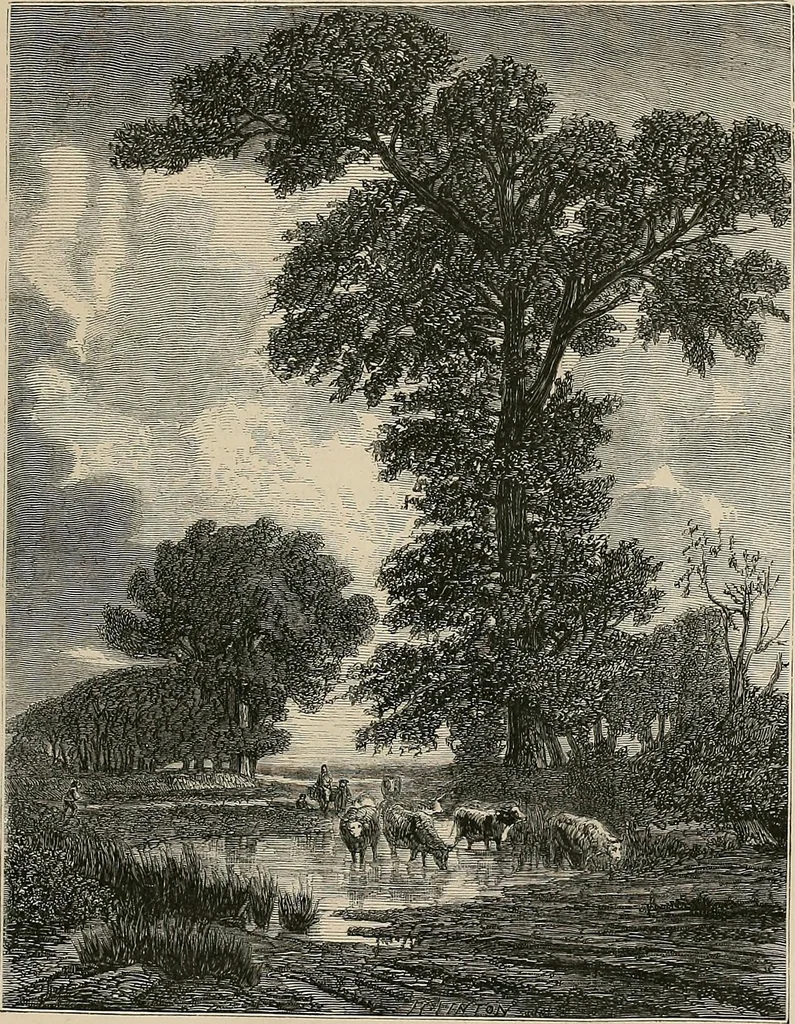 An illustration from Gazette des beaux-arts, 1859, leaf 515