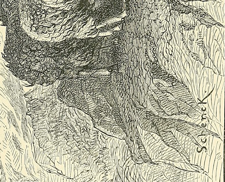 An illustration from Gazette des beaux-arts, 1859, leaf 282