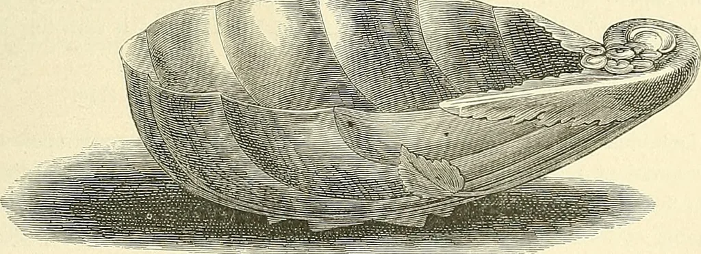 An illustration from Gazette des beaux-arts, 1859, leaf 374