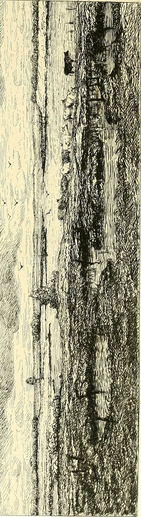 An illustration from Gazette des beaux-arts, 1859, leaf 494