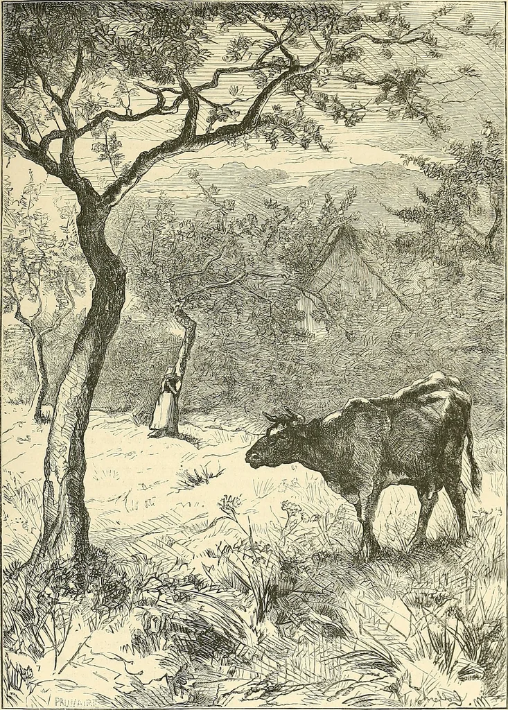 An illustration from Gazette des beaux-arts, 1859, leaf 498