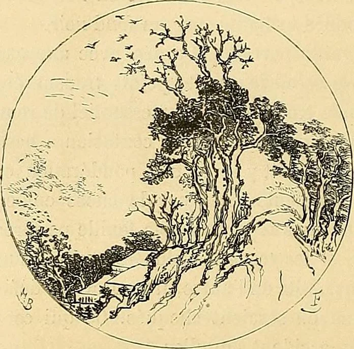An illustration from Gazette des beaux-arts, 1859, leaf 335