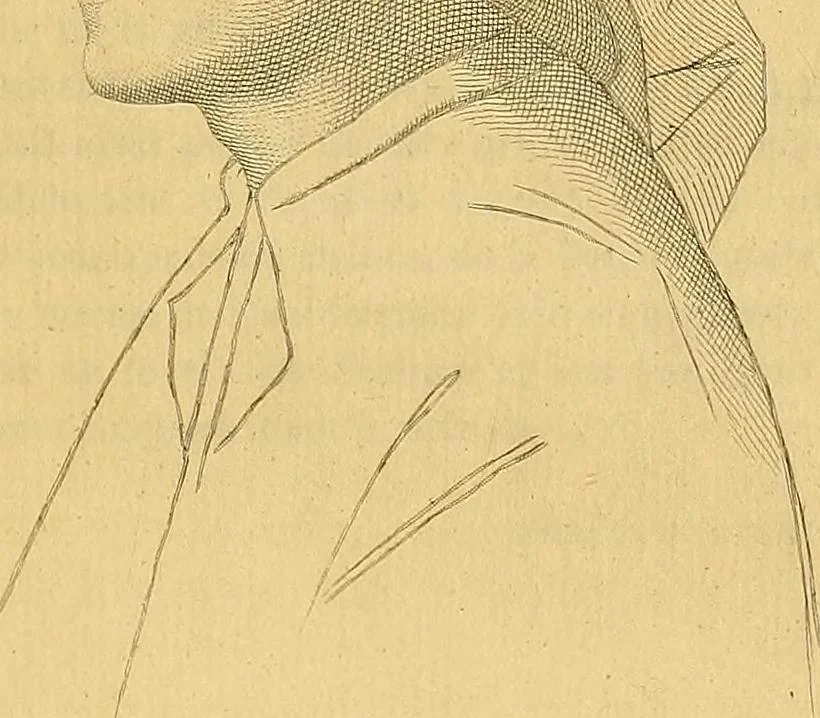 An illustration from Gazette des beaux-arts, 1859, leaf 398