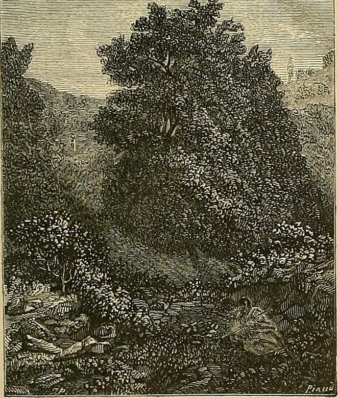 An illustration from Gazette des beaux-arts, 1859, leaf 198