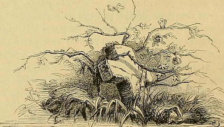 An illustration from Gazette des beaux-arts, 1859, leaf 199