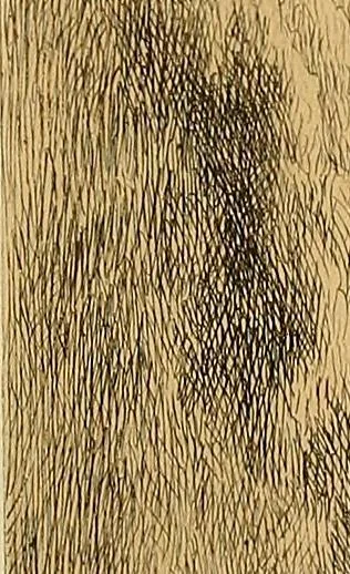 An illustration from Gazette des beaux-arts, 1859, leaf 466