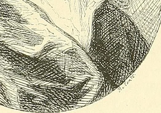 An illustration from Gazette des beaux-arts, 1859, leaf 266