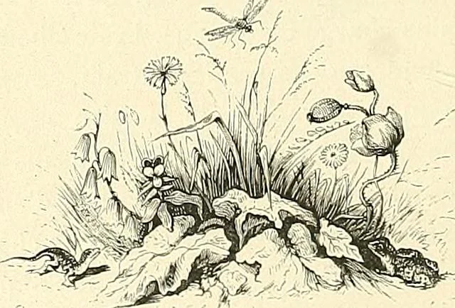 An illustration from Gazette des beaux-arts, 1859, leaf 37