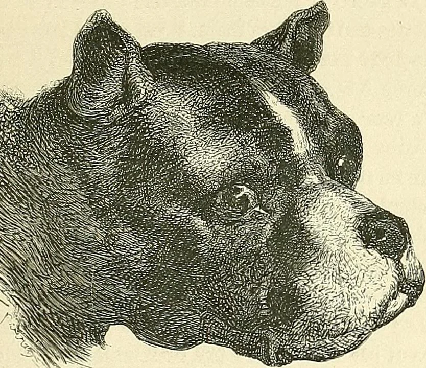 An illustration from Gazette des beaux-arts, 1859, leaf 398
