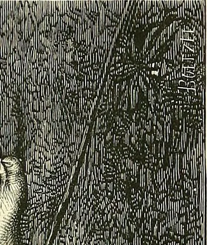An illustration from Gazette des beaux-arts, 1859, leaf 496
