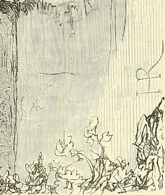 An illustration from Gazette des beaux-arts, 1859, leaf 80