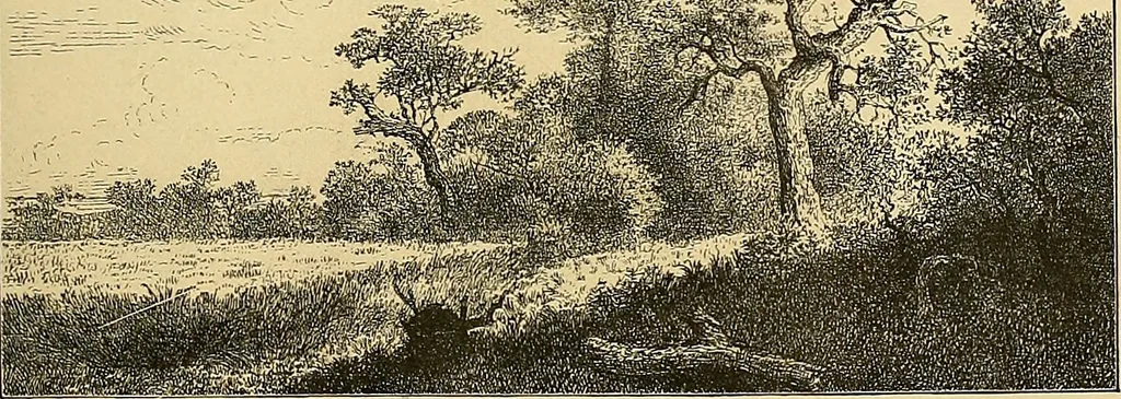 An illustration from Gazette des beaux-arts, 1859, leaf 284