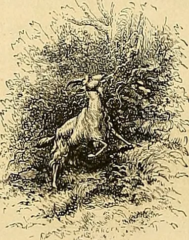 An illustration from Gazette des beaux-arts, 1859, leaf 347