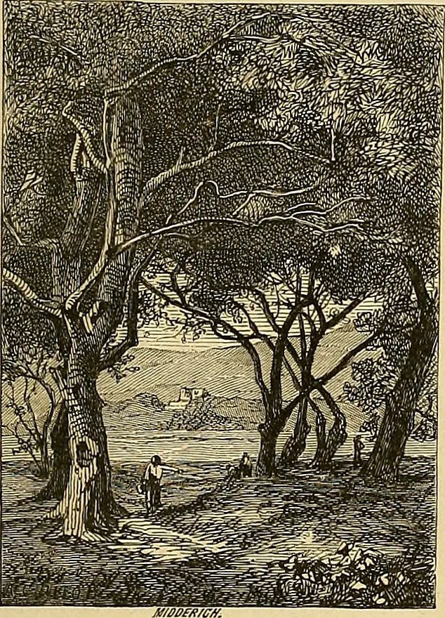 An illustration from Gazette des beaux-arts, 1859, leaf 42
