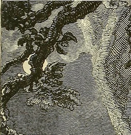 An illustration from Gazette des beaux-arts, 1859, leaf 158