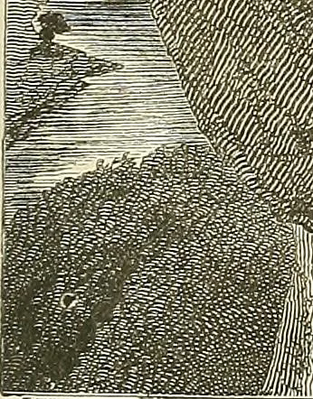 An illustration from Gazette des beaux-arts, 1859, leaf 158