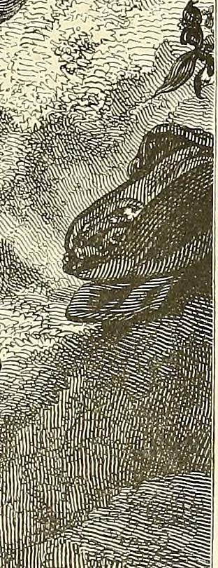An illustration from Gazette des beaux-arts, 1859, leaf 158