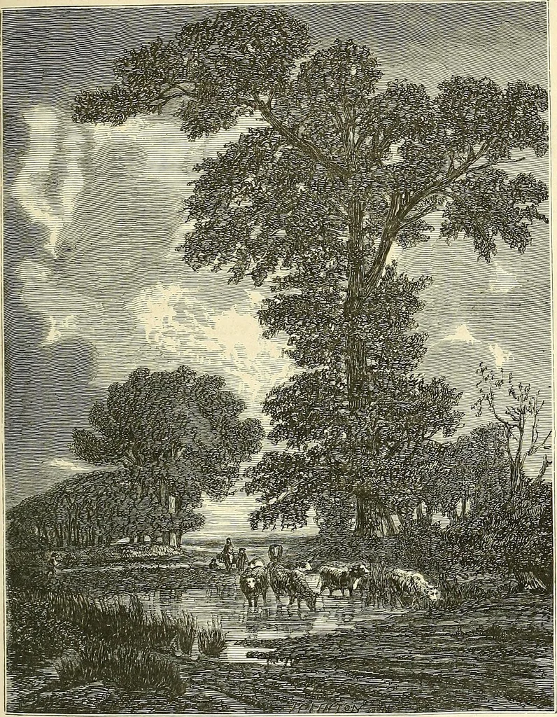An illustration from Gazette des beaux-arts, 1859, leaf 214