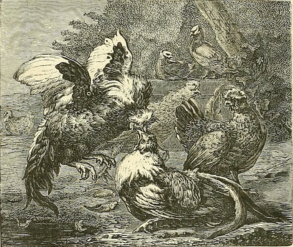 An illustration from Gazette des beaux-arts, 1859, leaf 309