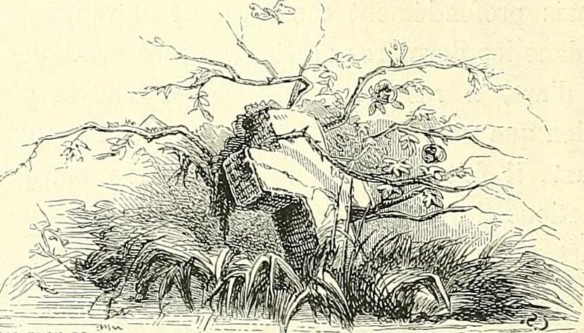 An illustration from Gazette des beaux-arts, 1859, leaf 139