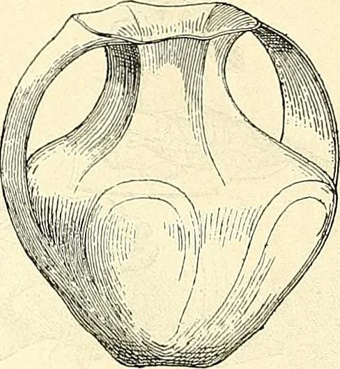 An illustration from Gazette des beaux-arts, 1859, leaf 321