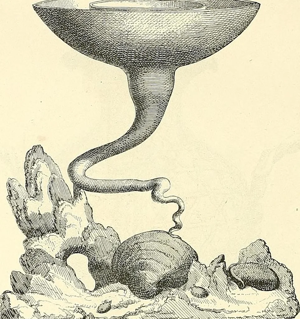 An illustration from Gazette des beaux-arts, 1859, leaf 493