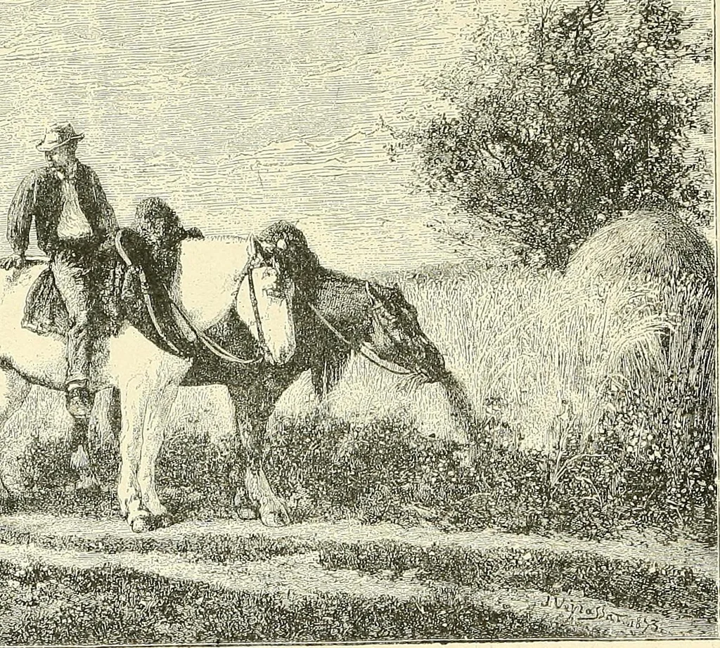 An illustration from Gazette des beaux-arts, 1859, leaf 64