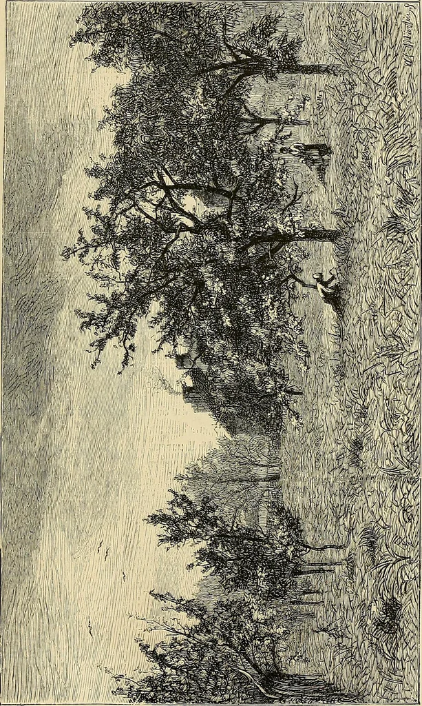 An illustration from Gazette des beaux-arts, 1859, leaf 194