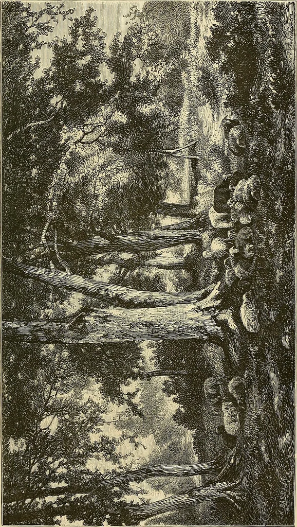 An illustration from Gazette des beaux-arts, 1859, leaf 202