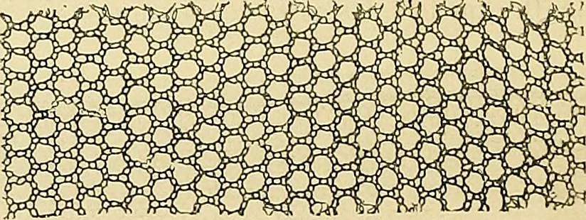An illustration from Gazette des beaux-arts, 1859, leaf 233