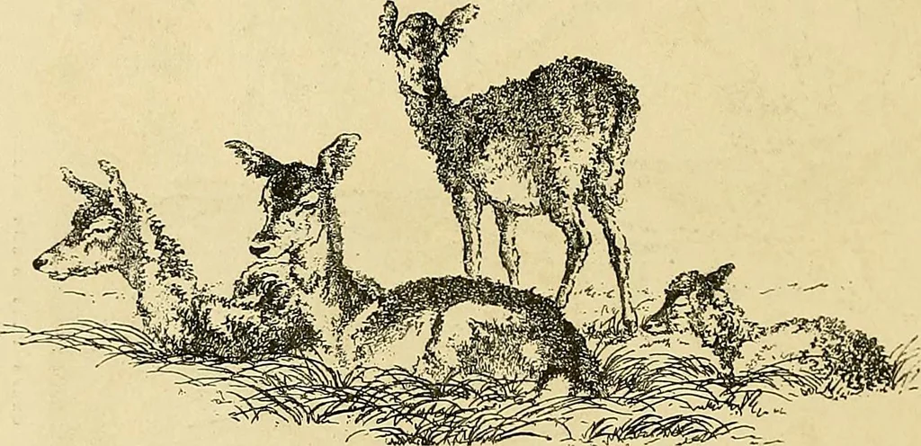 An illustration from Gazette des beaux-arts, 1859, leaf 257