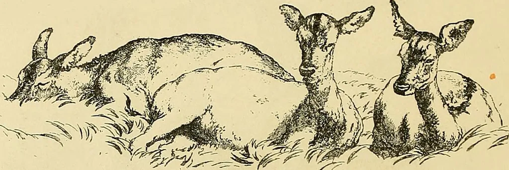 An illustration from Gazette des beaux-arts, 1859, leaf 261