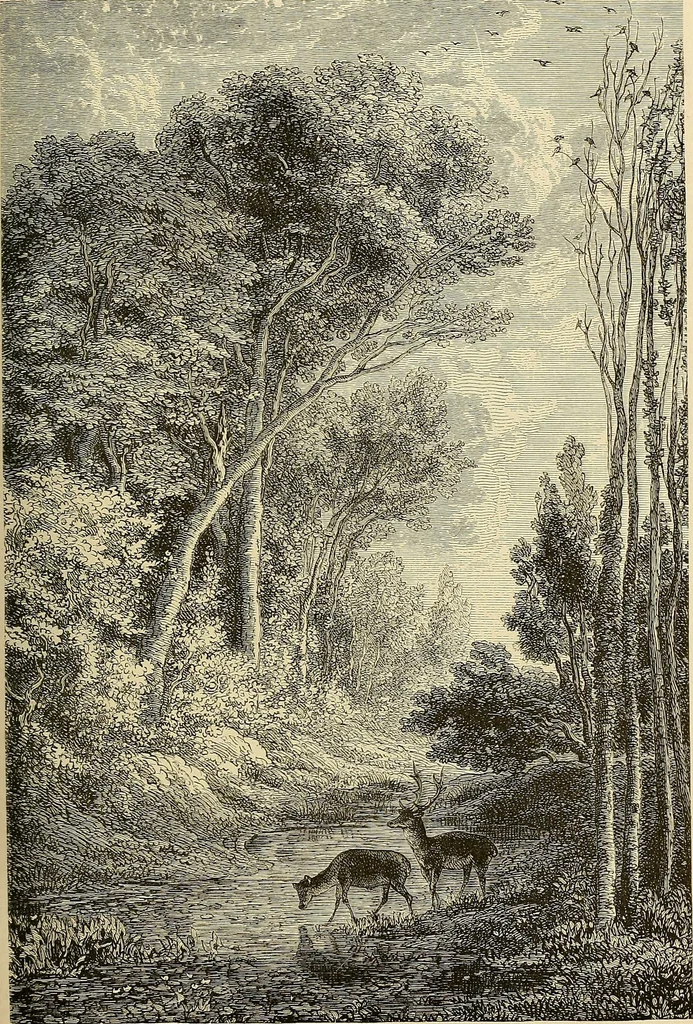An illustration from Gazette des beaux-arts, 1859, leaf 280