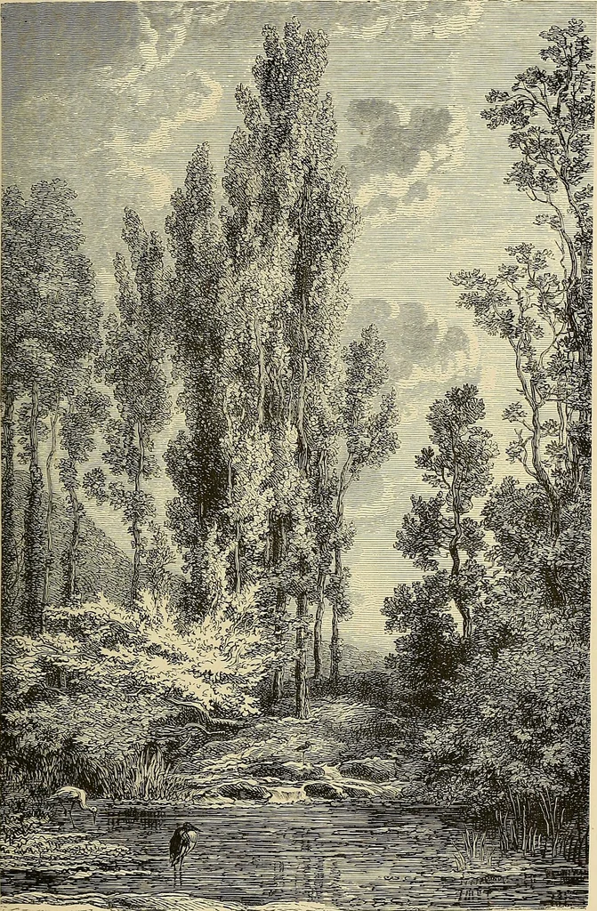An illustration from Gazette des beaux-arts, 1859, leaf 282
